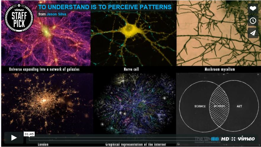 Jason Silva | “To Understand is to Perceive Patterns” – ISAIAH BERLIN ...