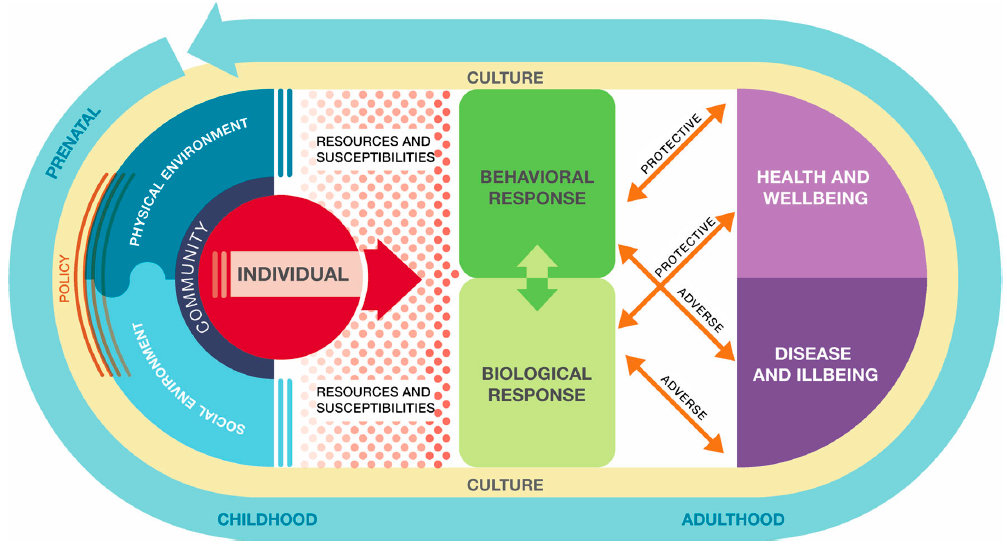 An Integrated Socio-Environmental Model of Health and Well-Being